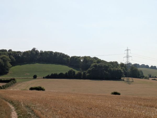 A field with hay bales